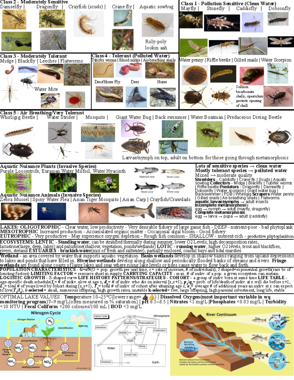 Water Quality Cheat Sheet: Macroinvertebrates & Ecosystems Overview ...