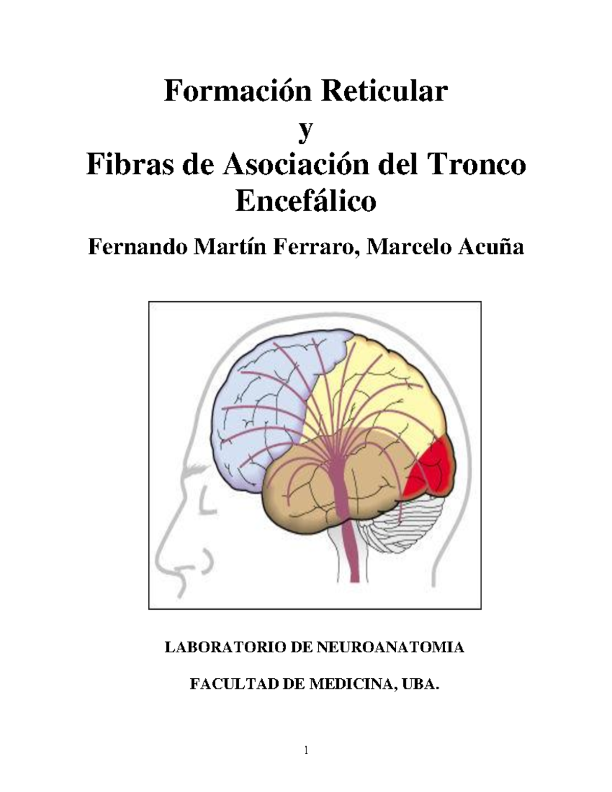 Anatomía de la Formación Reticular - Neuroanatomía UBA - Studocu