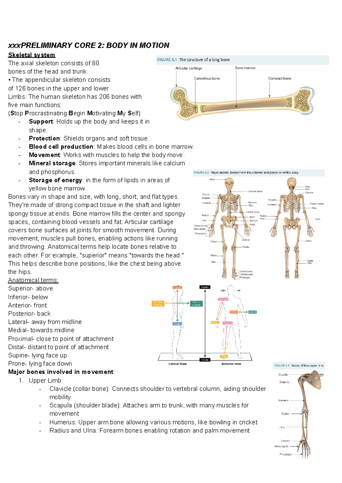 Core 2 PDH Notes: Body in Motion, Muscular & Skeletal Systems - Studocu