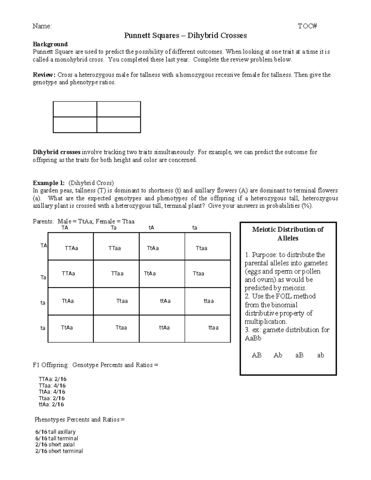 Dihybrid Genetics Problems Worksheet Answers