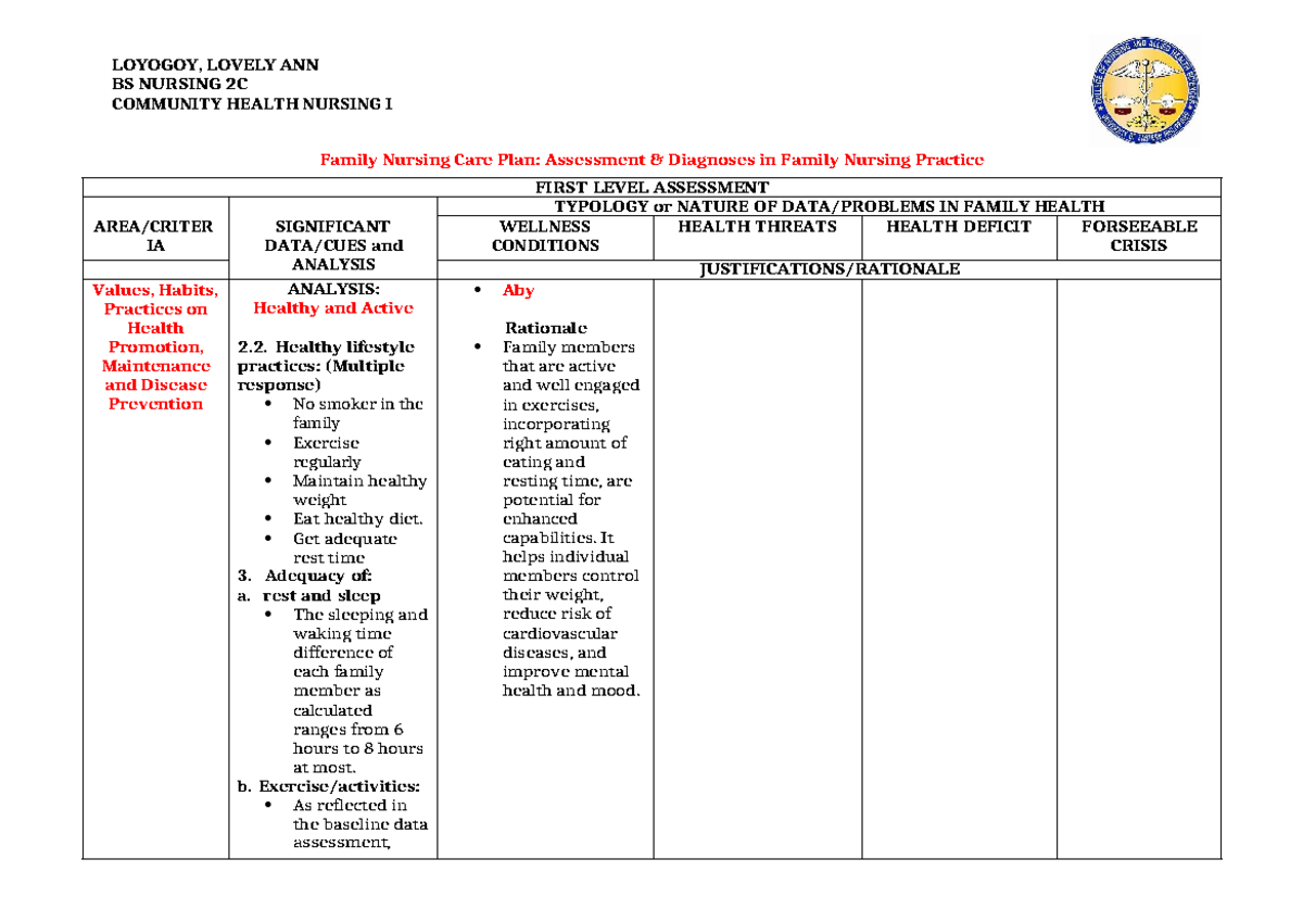 Family Nursing Care Plan: Assessment & Analysis in Community Health ...