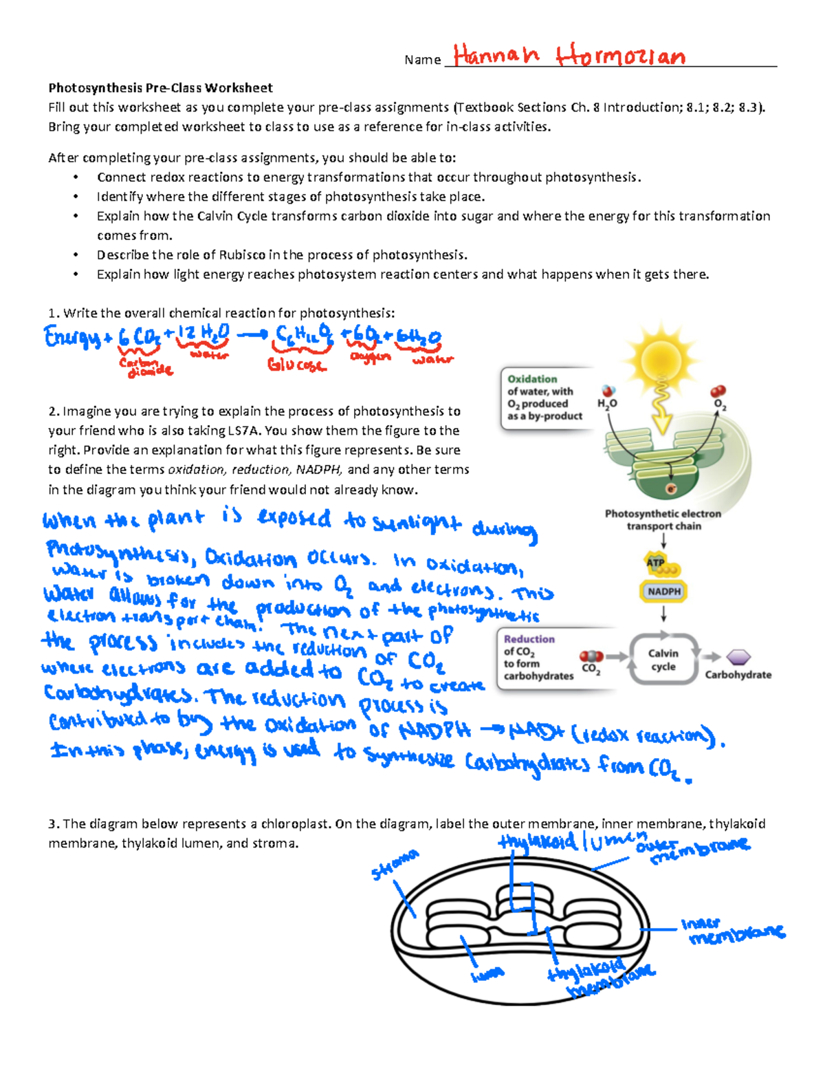 Week 4b Pre-Class Reading Guide - Photosynthesis - Name - Studocu