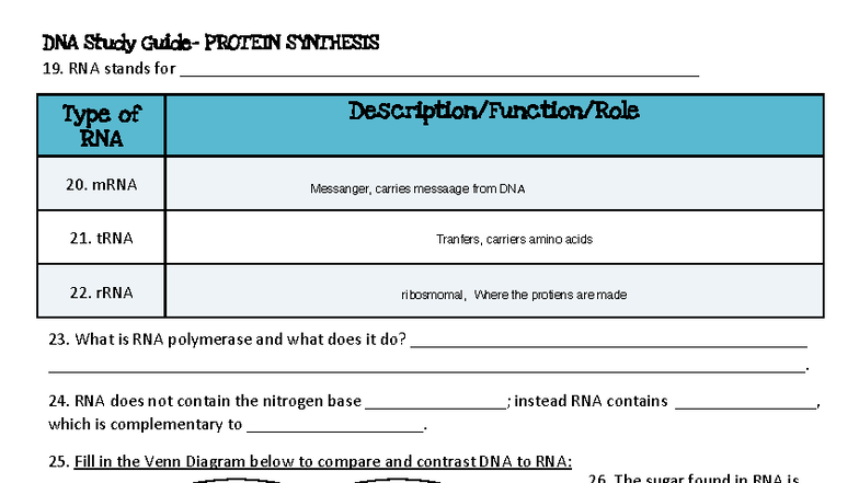 Final Exam Study Guide 2022: DNA, RNA, and Protein Synthesis - Studocu