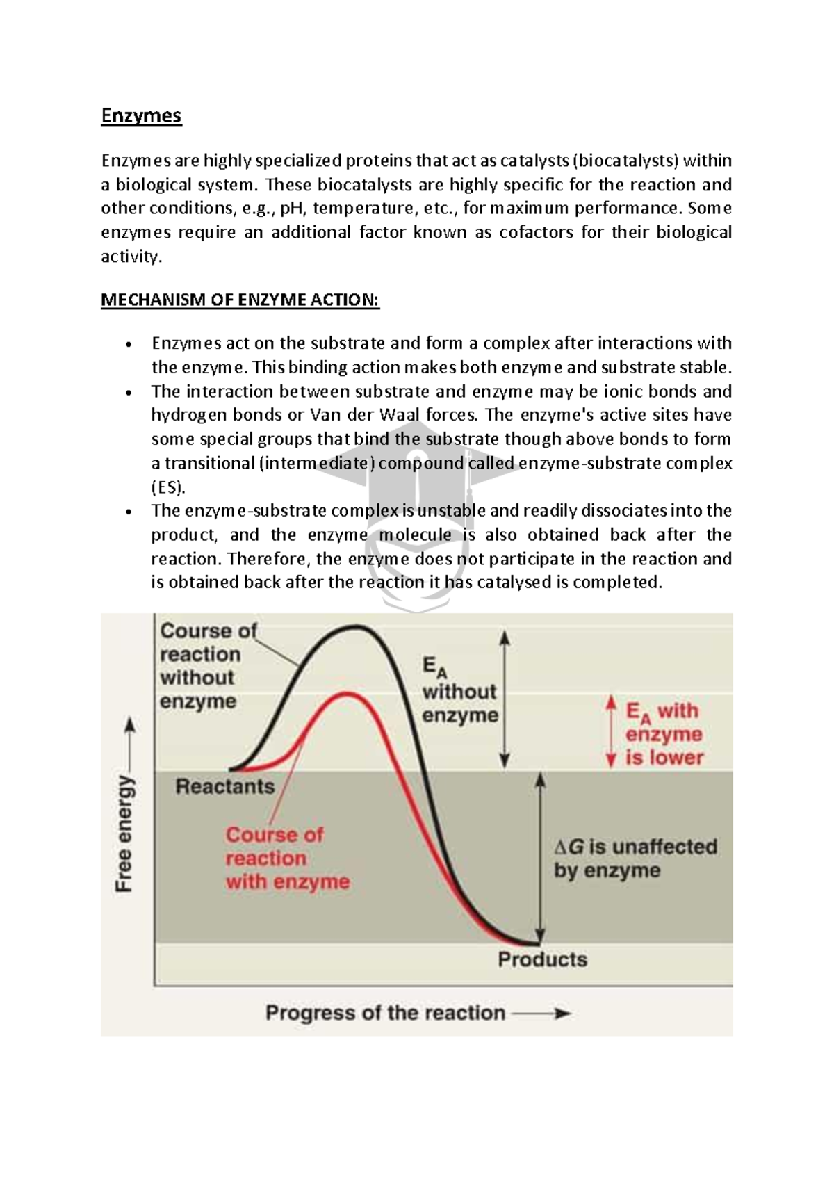 Enzymes PDF Free Download notes - Enzymes Enzymes are highly ...