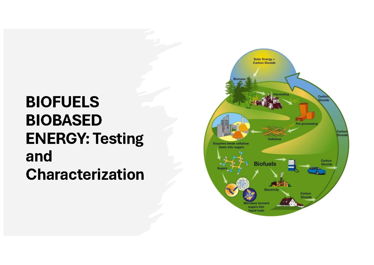 Soliza MBE616 Biofuel Biobased Energy - BIOFUELS BIOBASED ENERGY ...