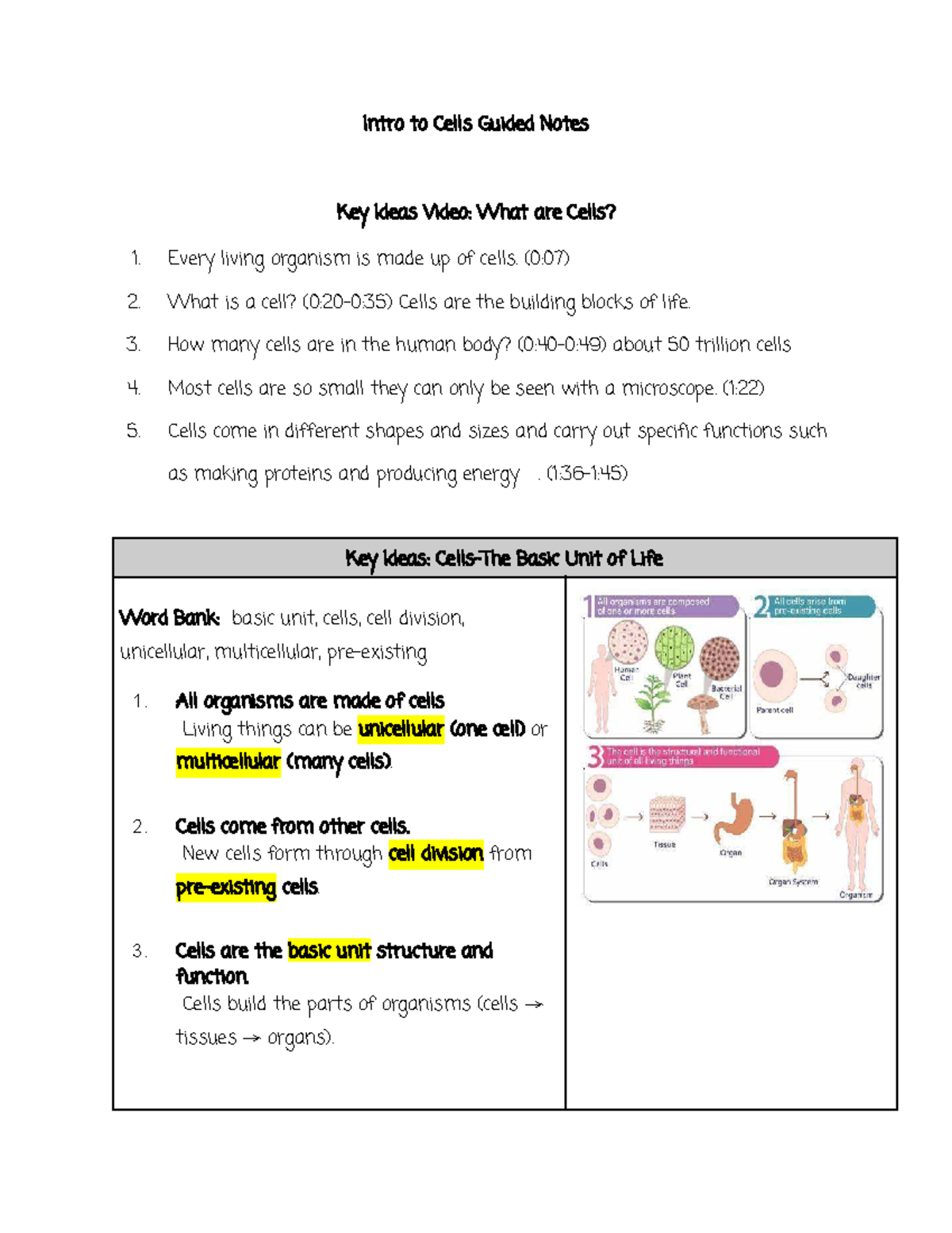 Intro to Cells Guided Notes: Key Concepts & Functions - Studocu