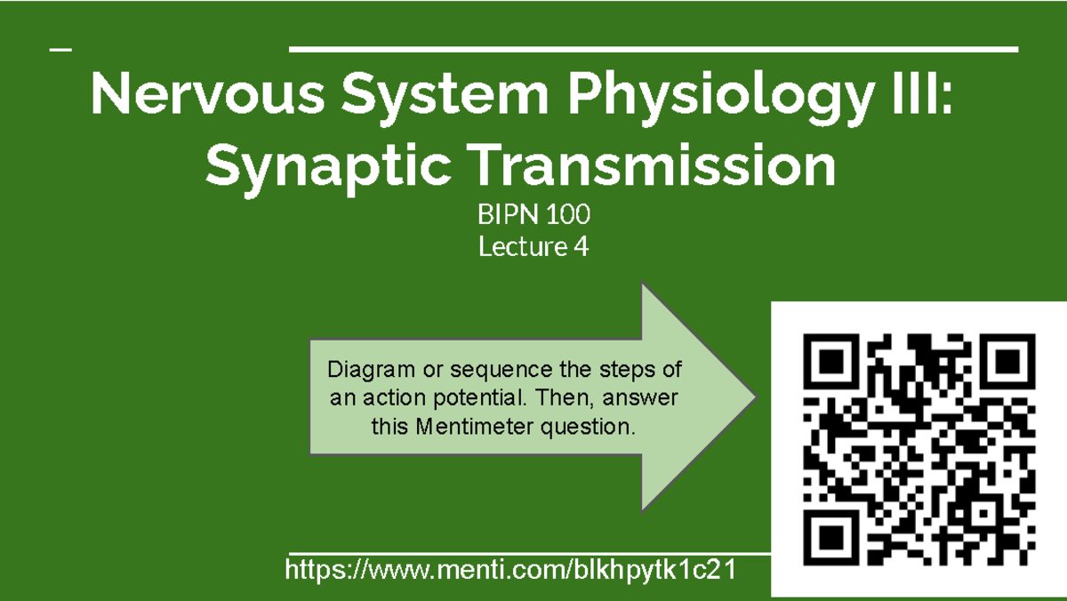 Nervous System Physiology III: Synaptic Transmission Overview (BIPN 100 ...