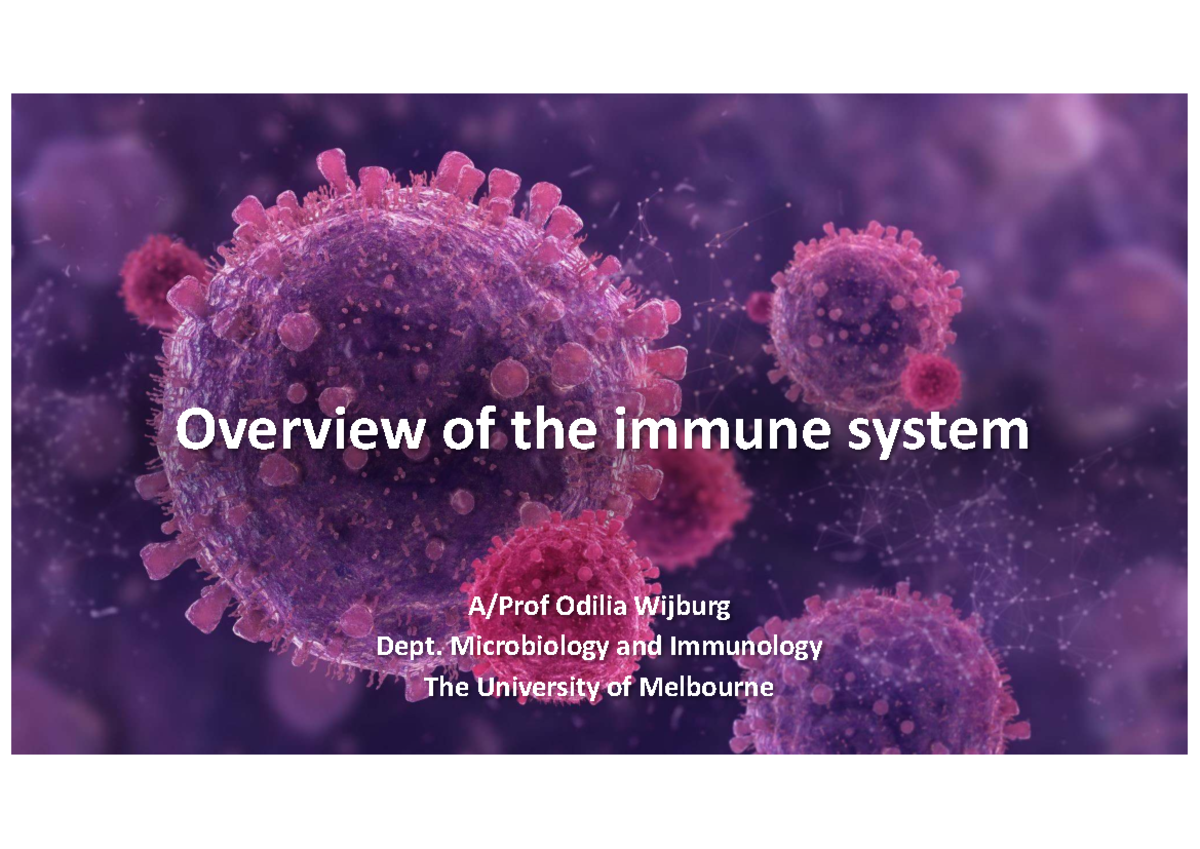 BIOM2000 1 2024 P1 Overview of the Immune System and Its Functions ...