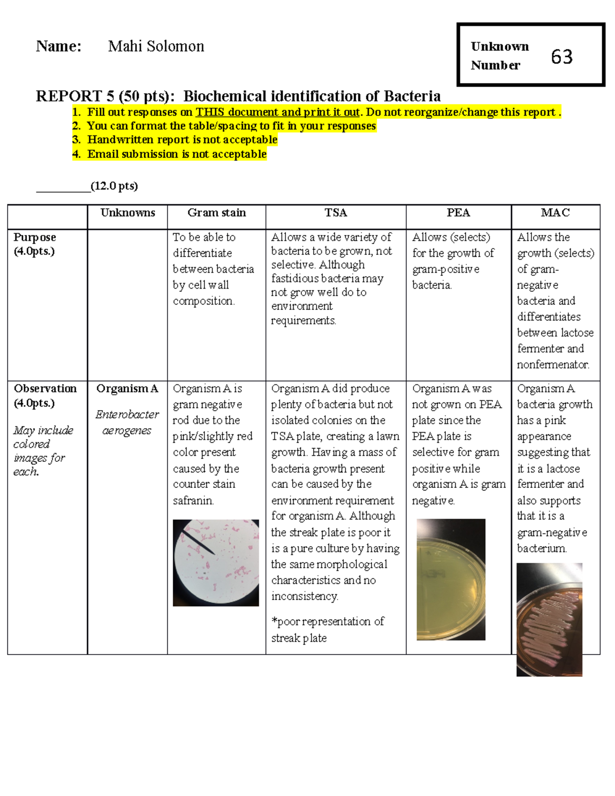 専用 yuuki様ご確認用 Bacteria OMG Leonids Biochemical Identification of Unknowns: Report 5 (BIO 201) - Studocu