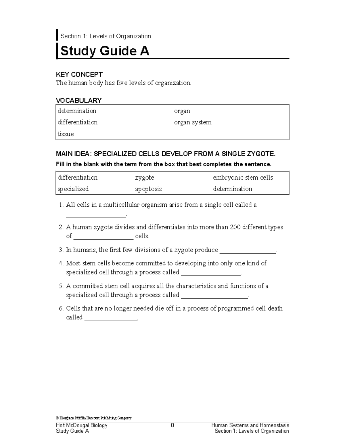 28.1 Worksheet - Levels of Organization Study Notes for Exam - Studocu
