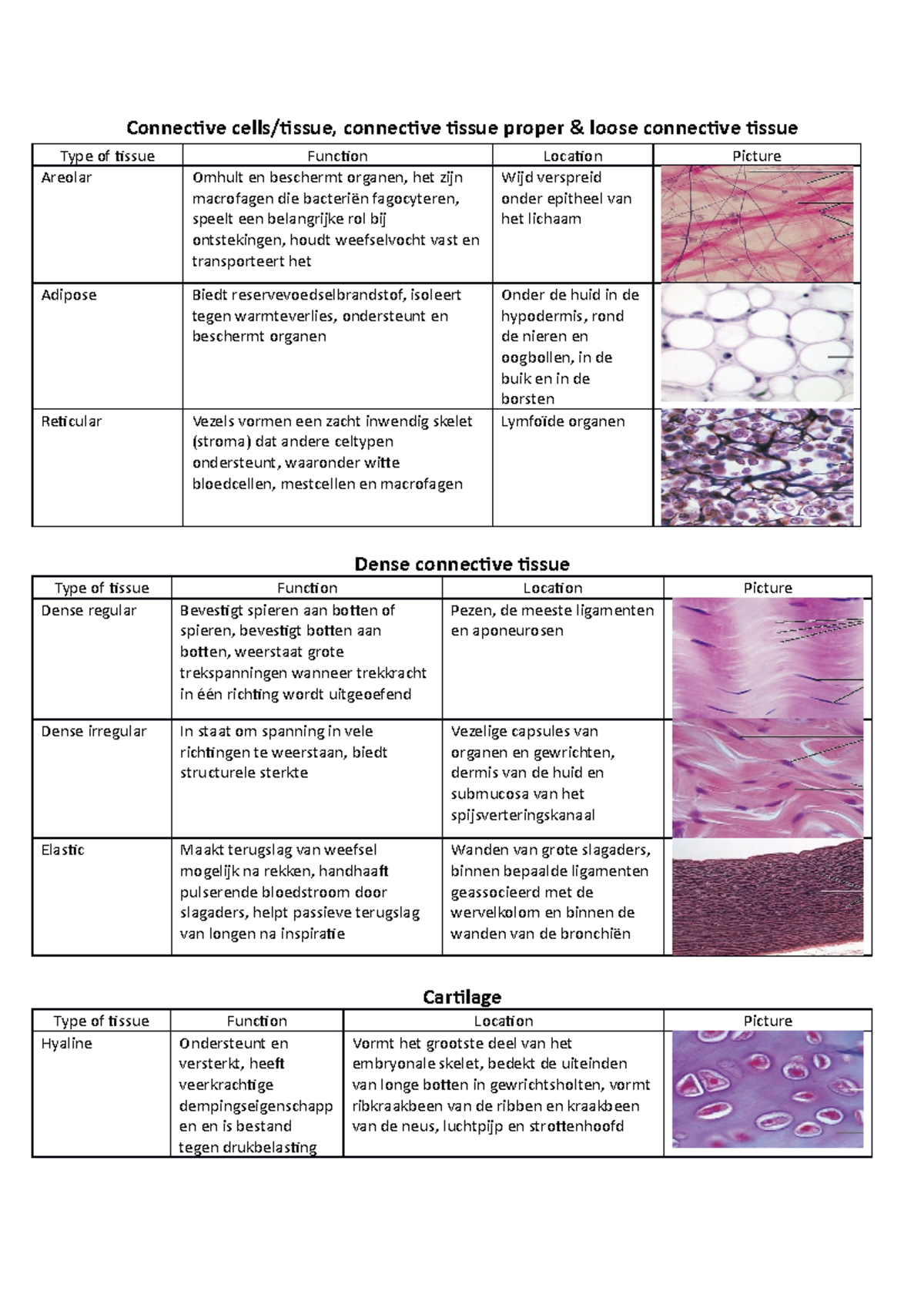 Worksheets Connective tissue, connective tissue proper & loose ...
