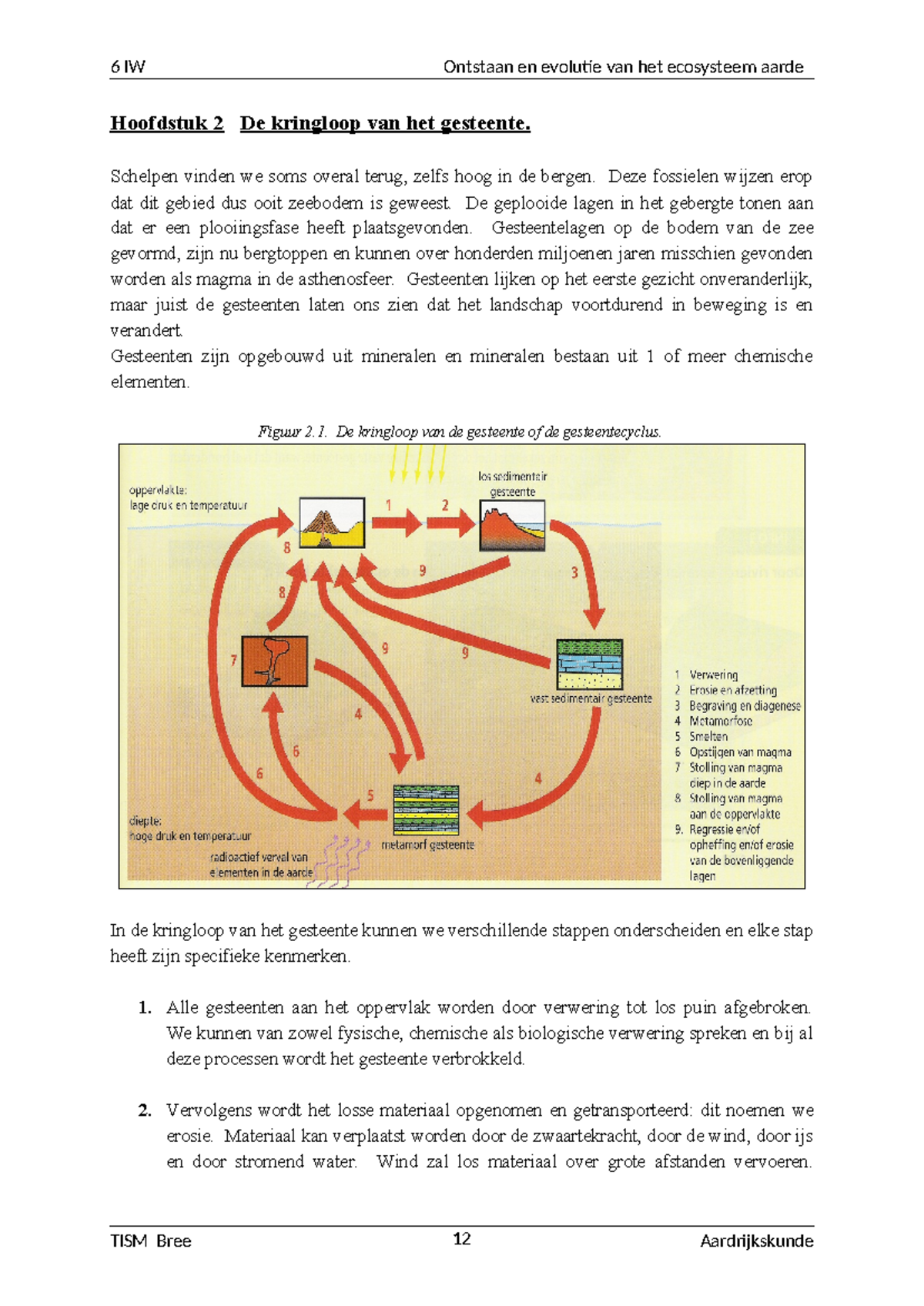 6IW Hoofdstuk 2: De Gesteentecyclus en Aardse Ecosystemen - Studocu, حجم الصورة 1200x1696