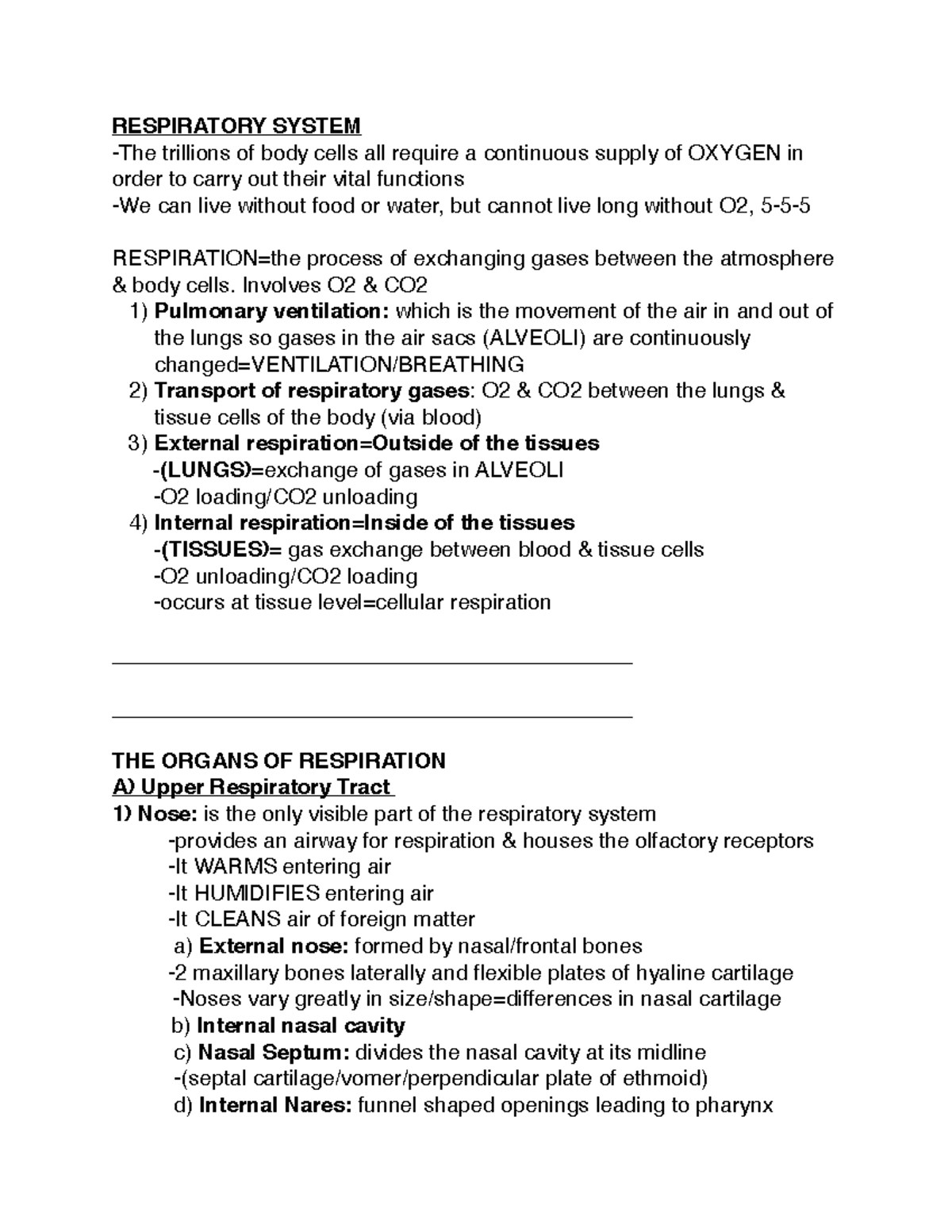 Respiratory System Overview & Key Functions - BIO101 Lecture Notes ...