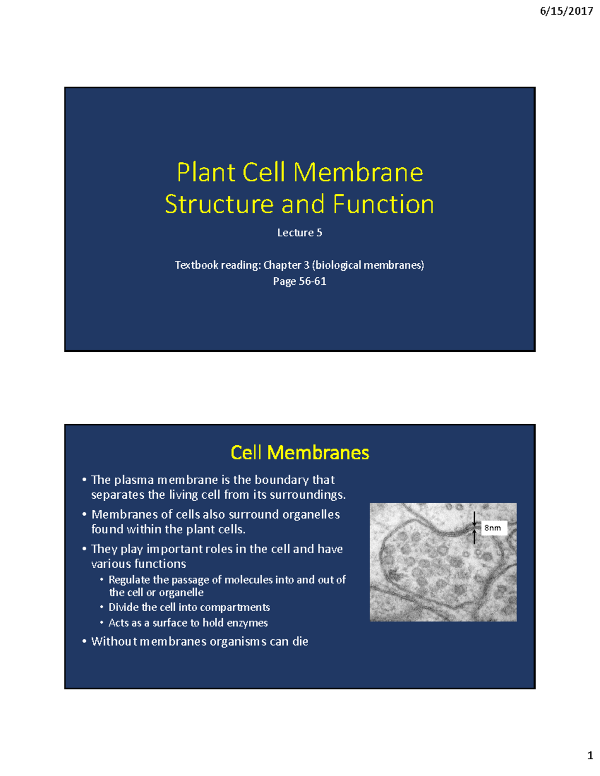 Lecture 5: Plant Cell Membrane Structure & Function Notes (Chapter 3 ...