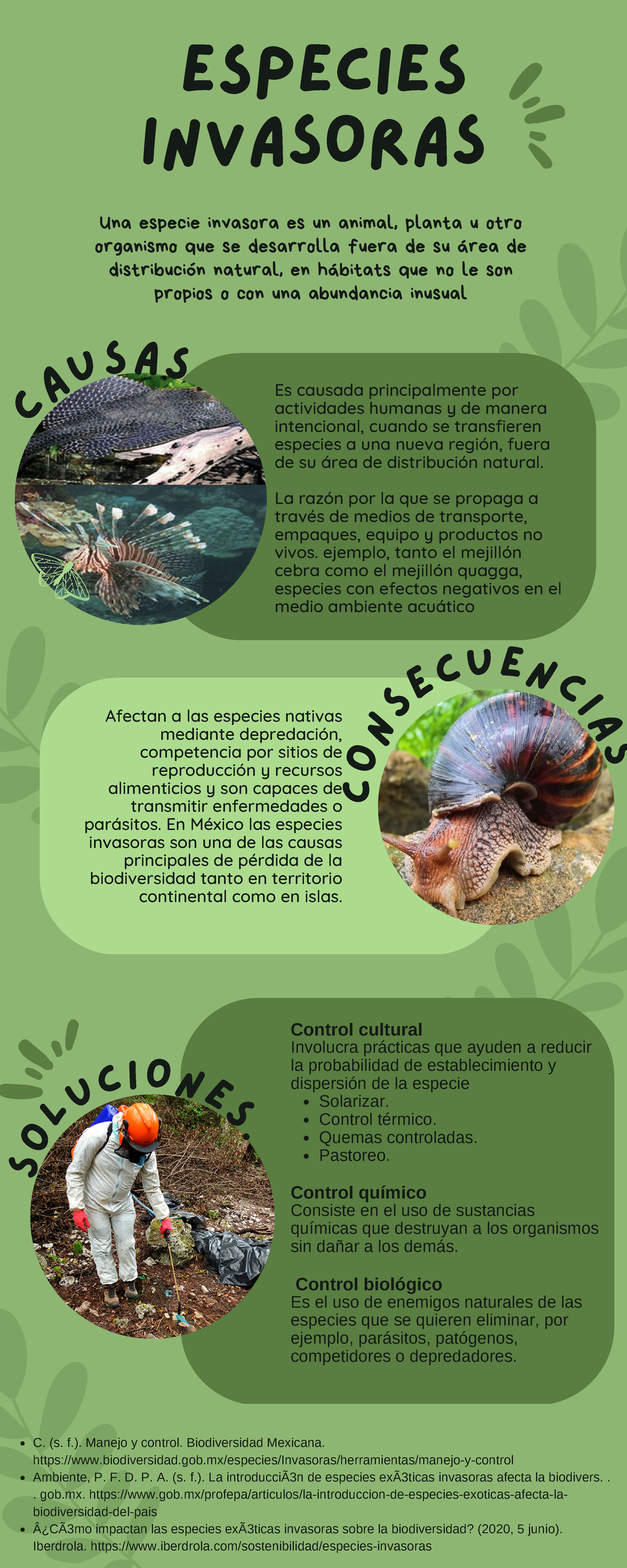 Cita Sobre Especies Invasoras Especies Invasoras En La Antártida