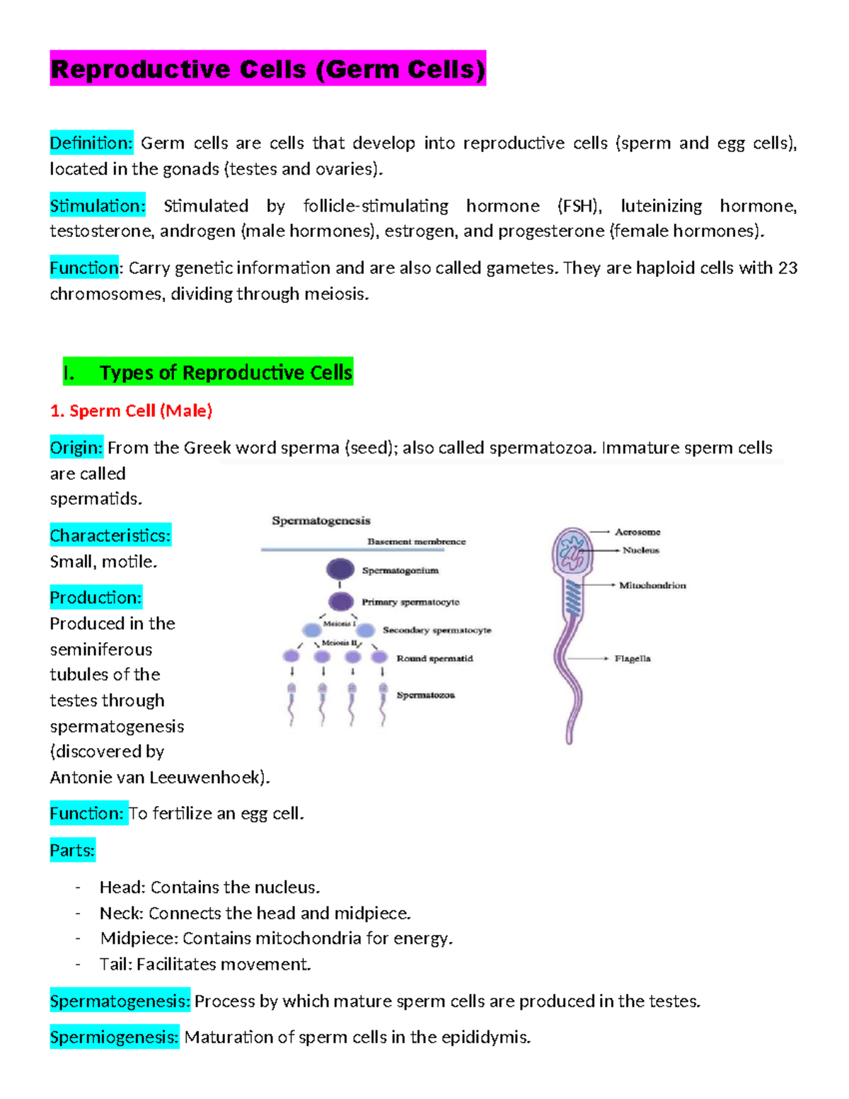 Reproductive Cells (Germ Cells) Overview - Reviewer Notes - Studocu