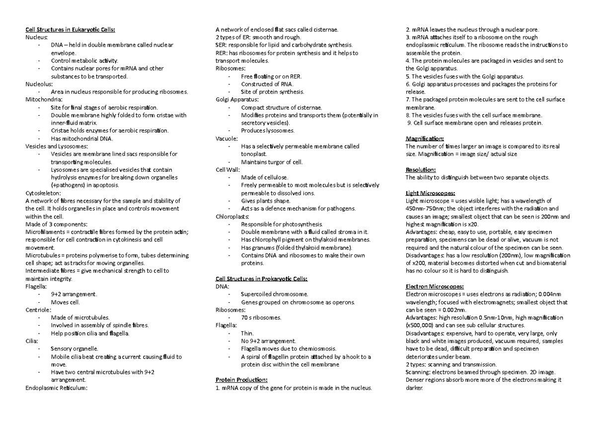 OCR A Level Cell Structure Study Notes: Eukaryotic & Prokaryotic Cells ...