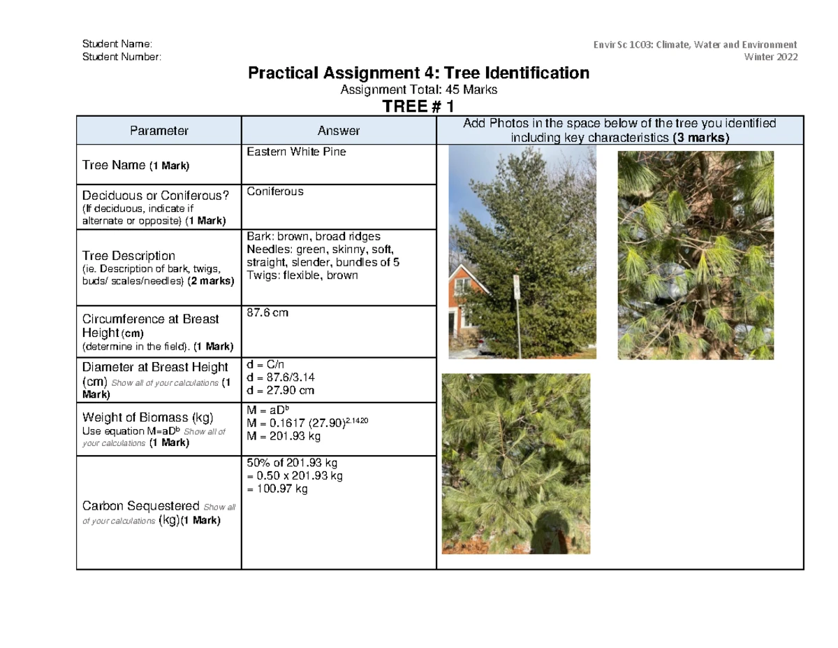 ES 1C03 - Summer 2024 - Environmental Science Infographic Assignment ...