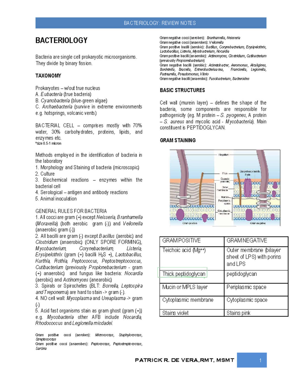BACTERIOLOGY: FINAL REVIEW NOTES (RMT 101) - Studocu