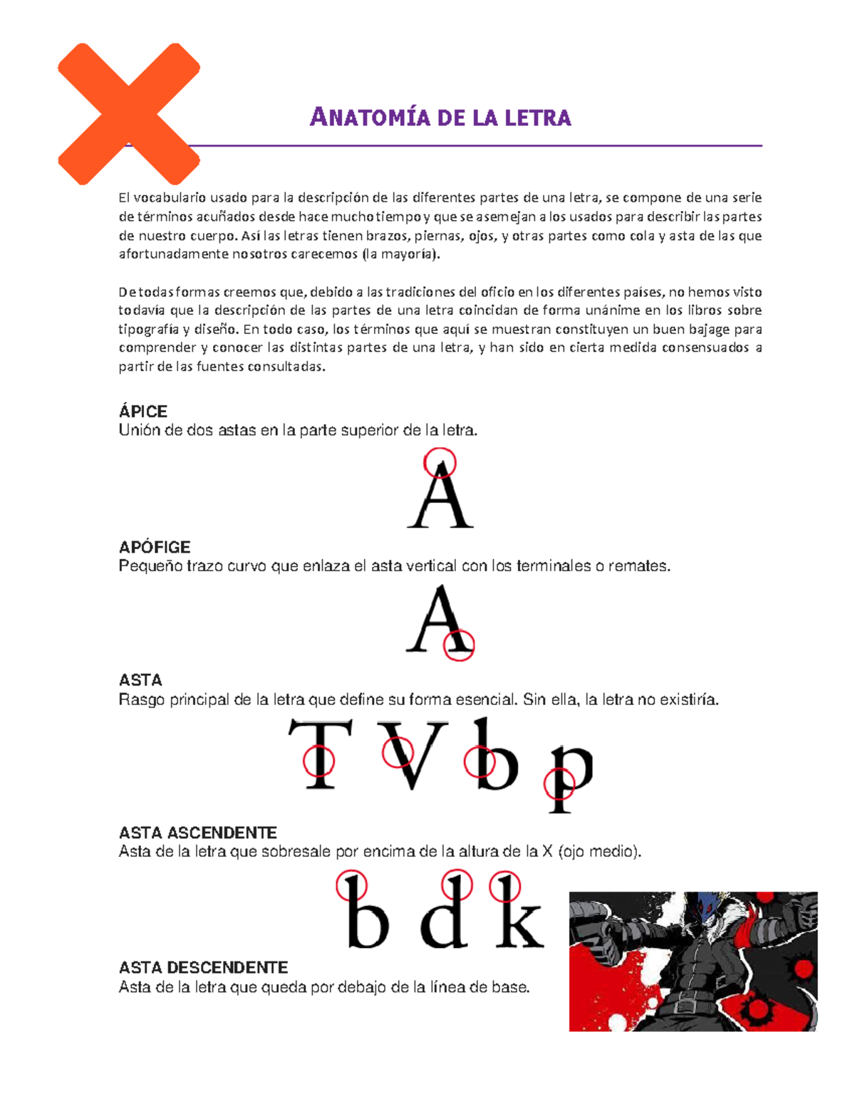 Anatomía de la Letra: Terminología y Partes Esenciales en Tipografía ...