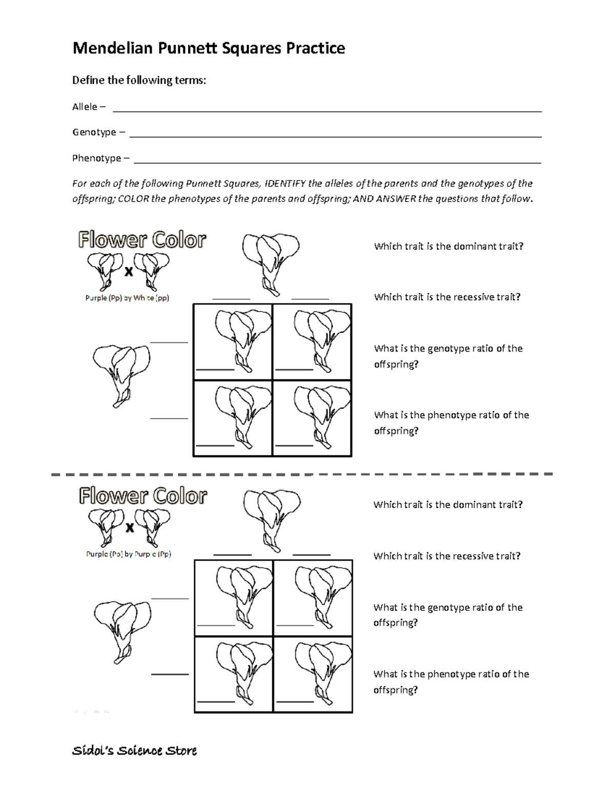 punnett-squares-coloring-worksheet-mendelian-free-1-mendelian-punnett-squares-practice-sidol-s-studocu