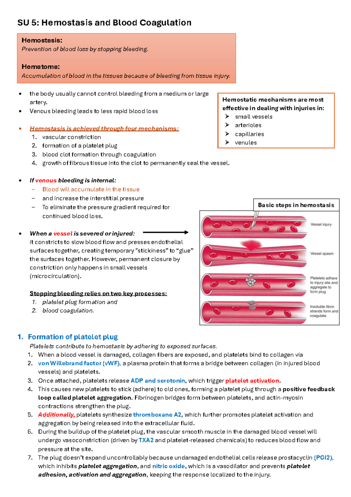 FLGX223 SU 5: Hemostasis and Blood Coagulation Overview - Studocu