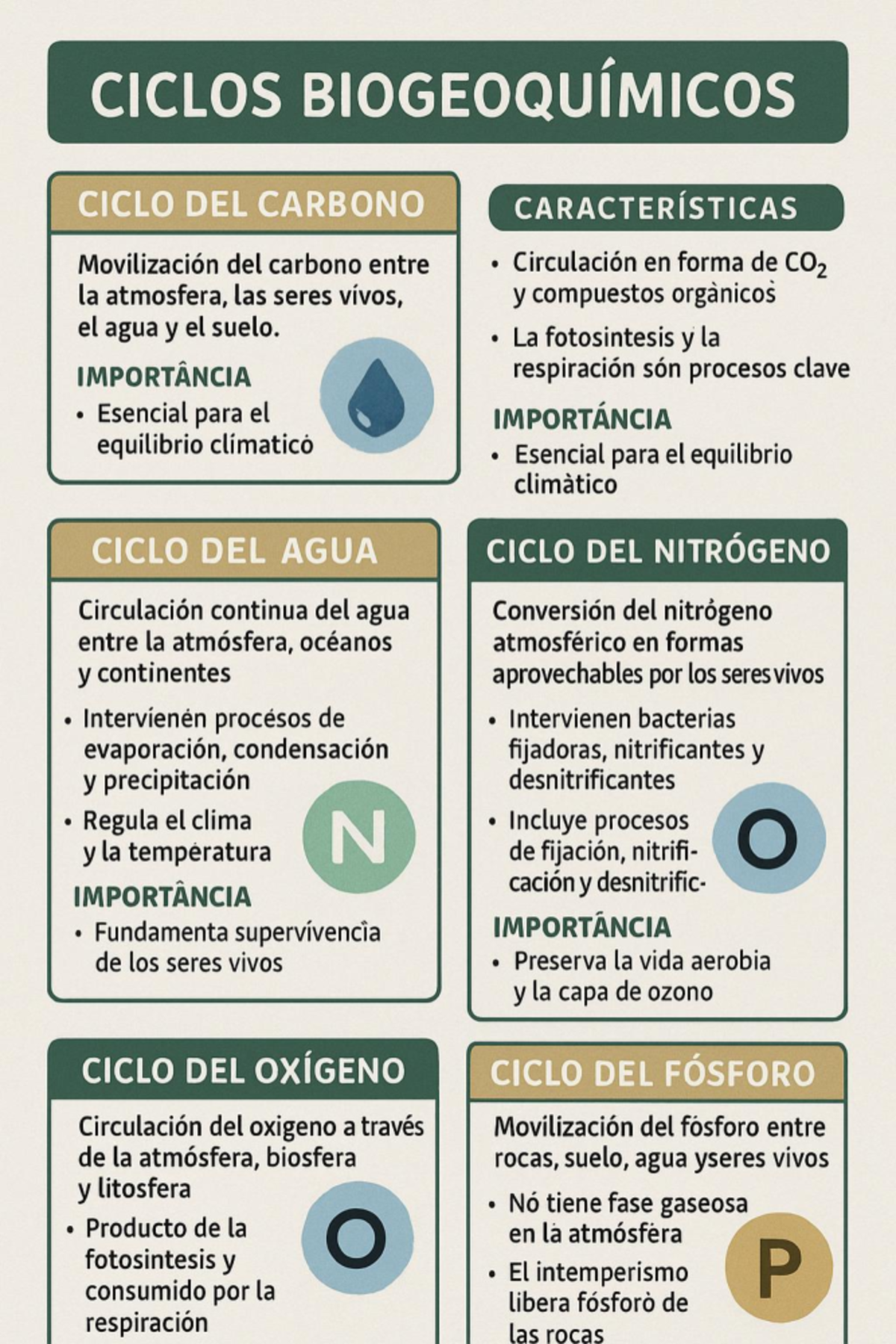 CICLOS BIOGEOQUÍMICOS: CARBONO, AGUA, NITRÓGENO Y OXÍGENO - Studocu