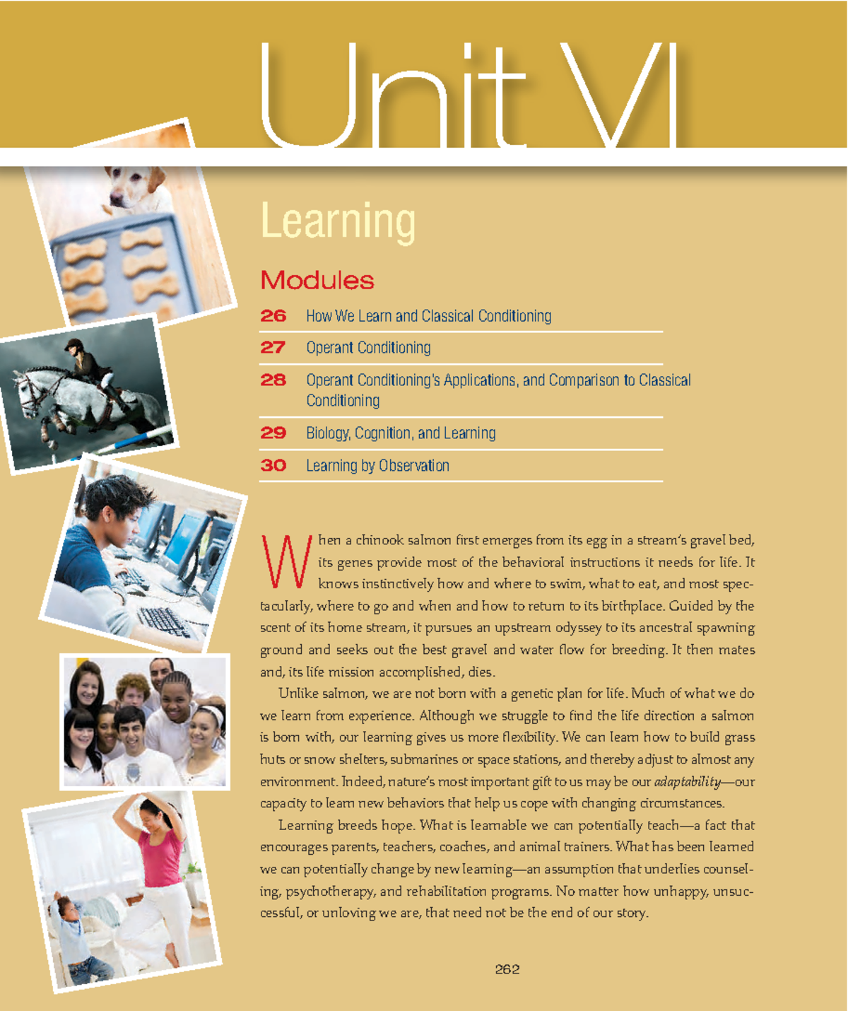 UNit 6 Learning Unit - good - Unit VI 262 Learning Modules 26 How We ...