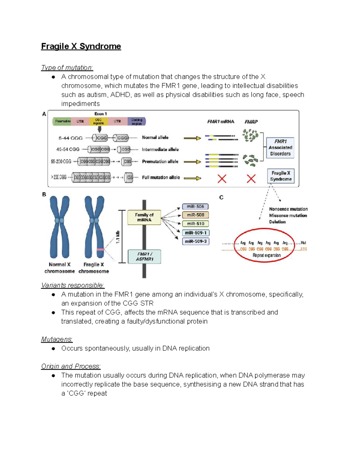 Depth Study 1 - Part B: Fragile X Syndrome Mutation Analysis - Studocu