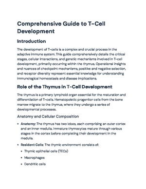 Understanding the Human Immune System: Components and Functions ...