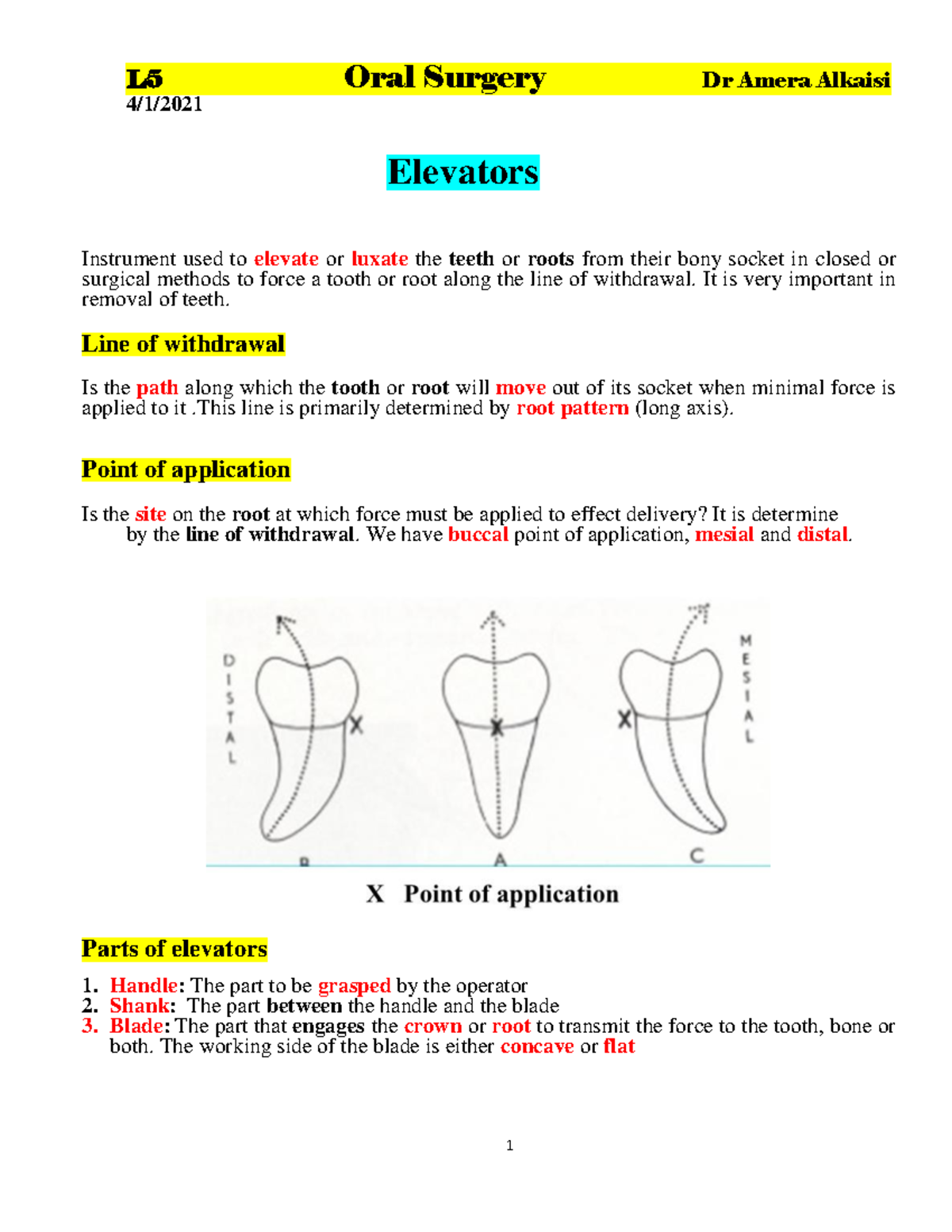 Oral Surgery L5: Understanding Elevators in Tooth Extraction Techniques ...