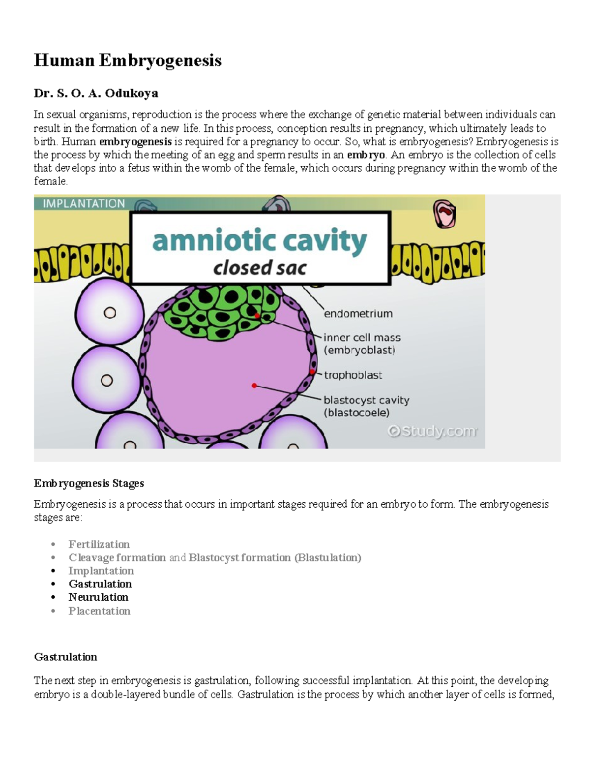 Embryology notes - Nil - Human Embryogenesis Dr. S. O. A. Odukoya In ...