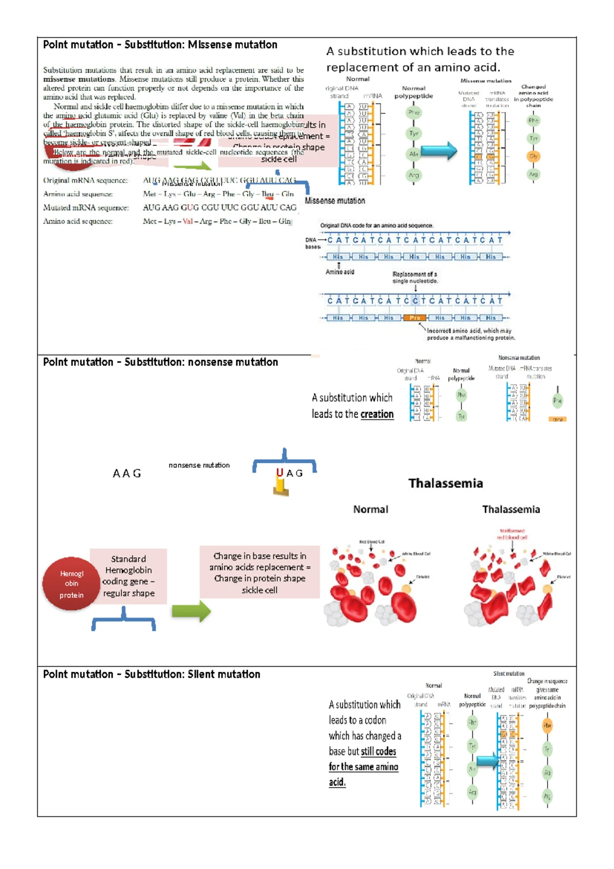 Types of Mutations: Point and Chromosomal Mutations Explained - Studocu