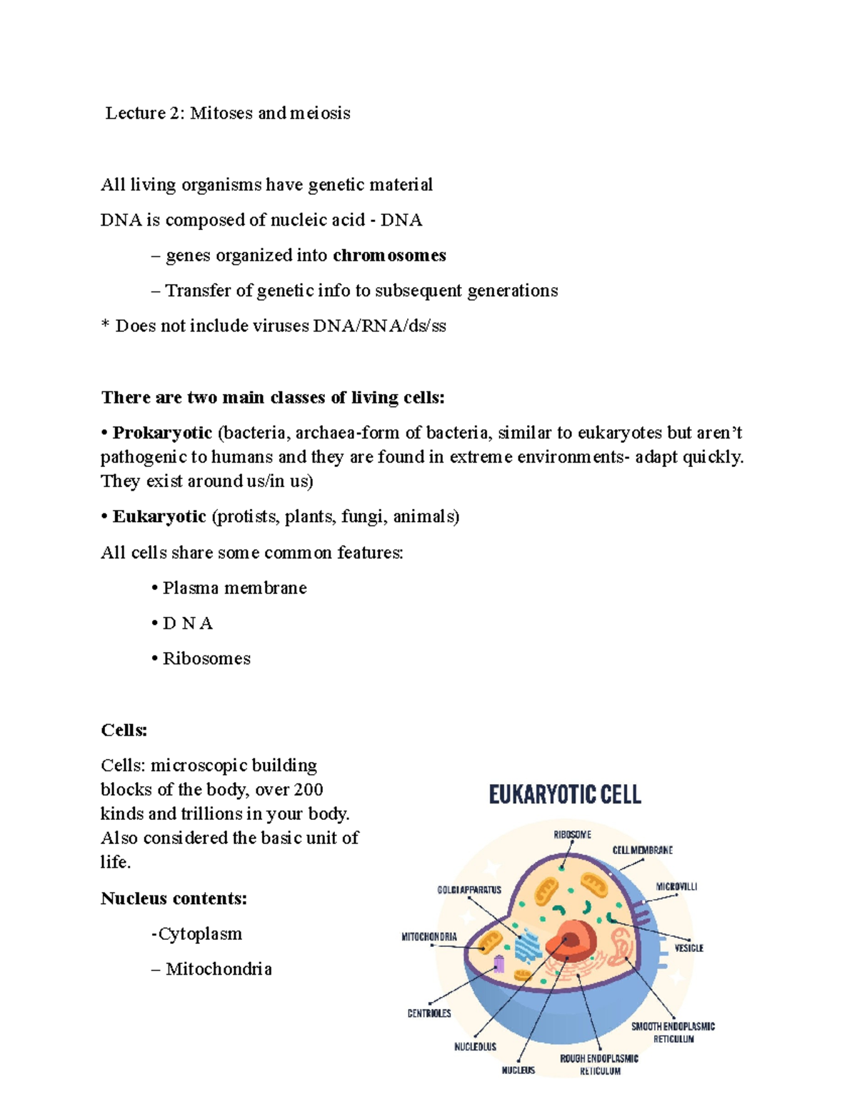 Mid1 Lecture 2: Mitosis and Meiosis Overview and Key Concepts - Studocu
