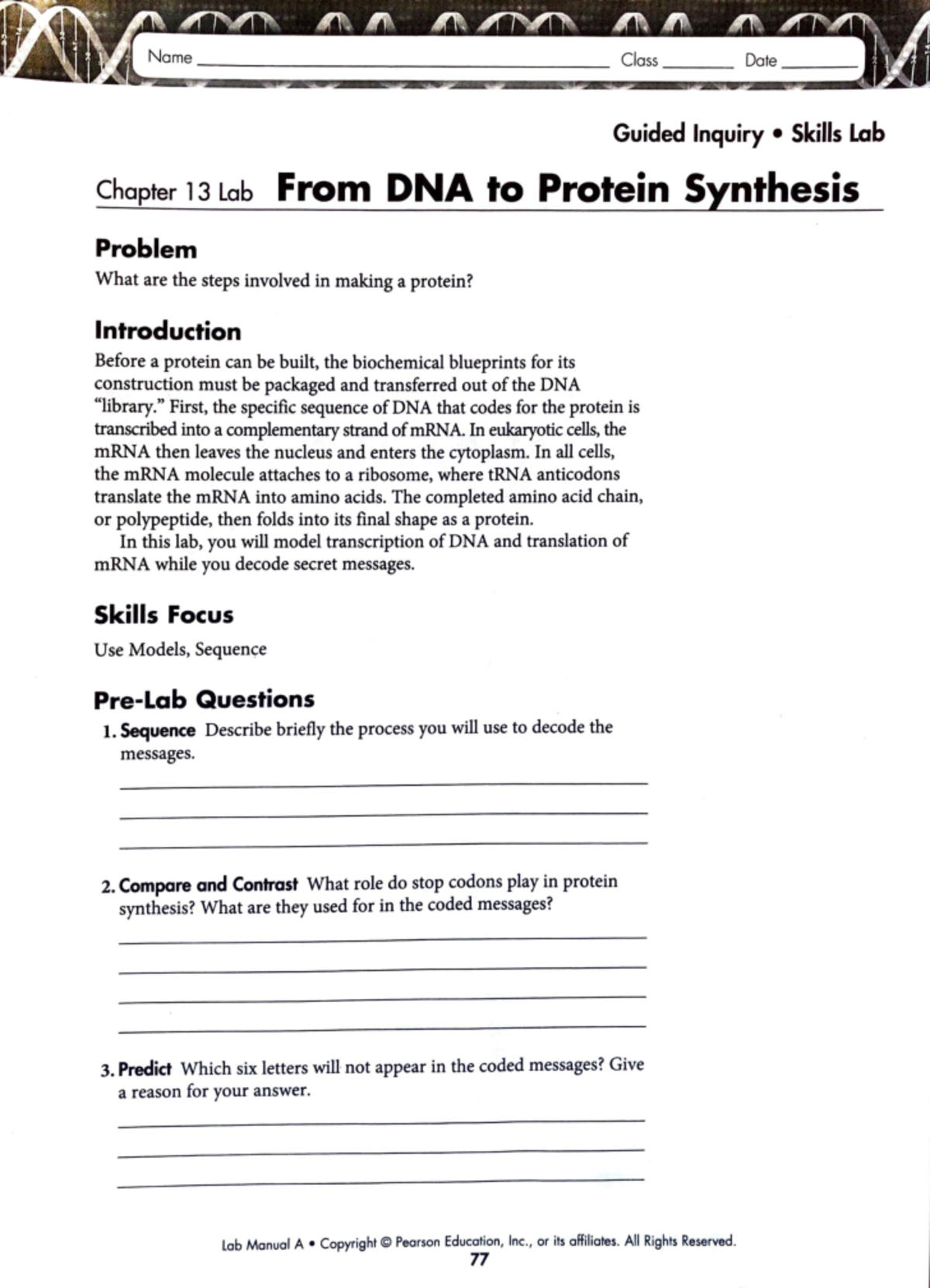 Lab Manual: From DNA to Protein Synthesis - Chapter 13 Lab - Studocu