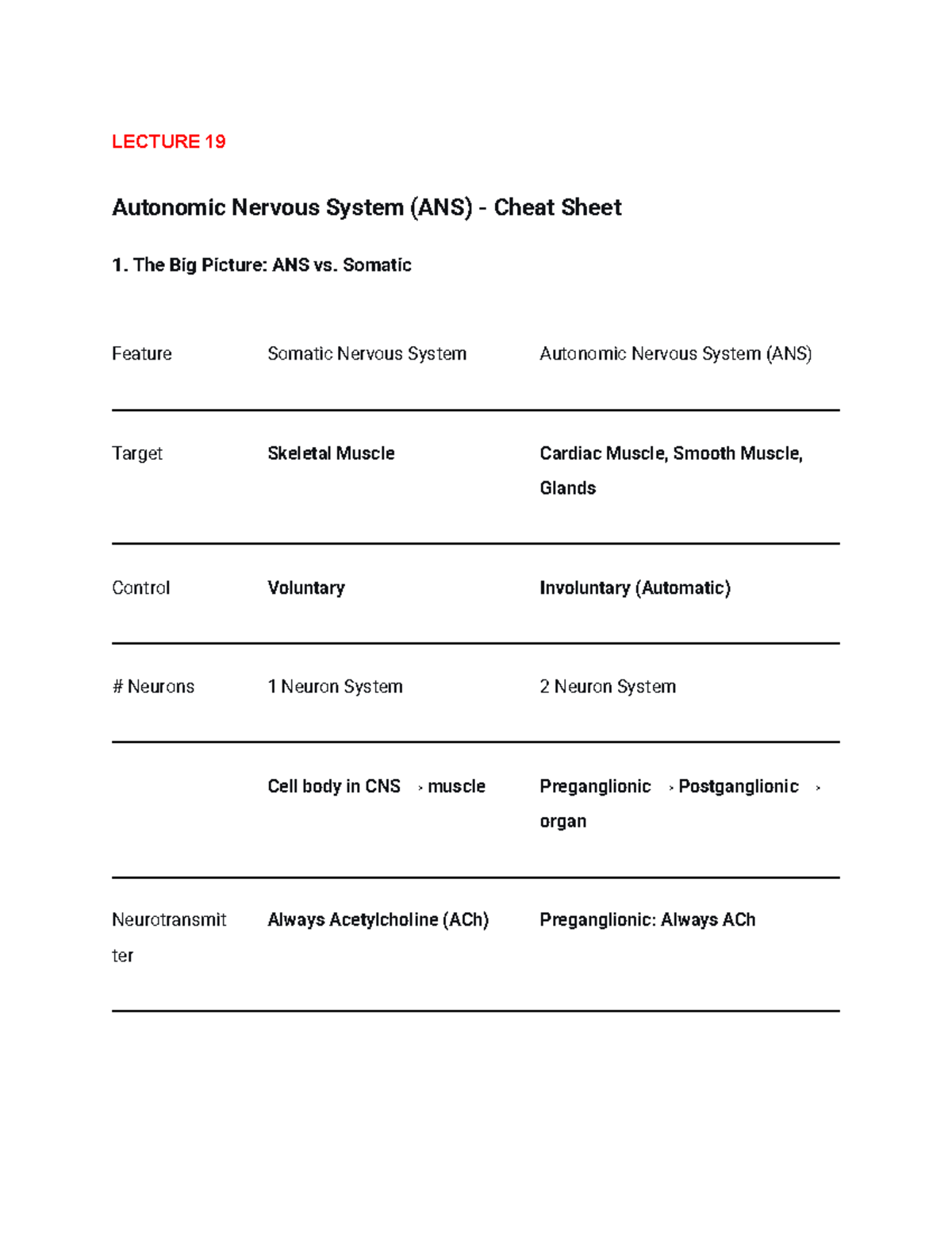Final Exam KIN 2Y03 Notes: Autonomic Nervous System Overview - Studocu