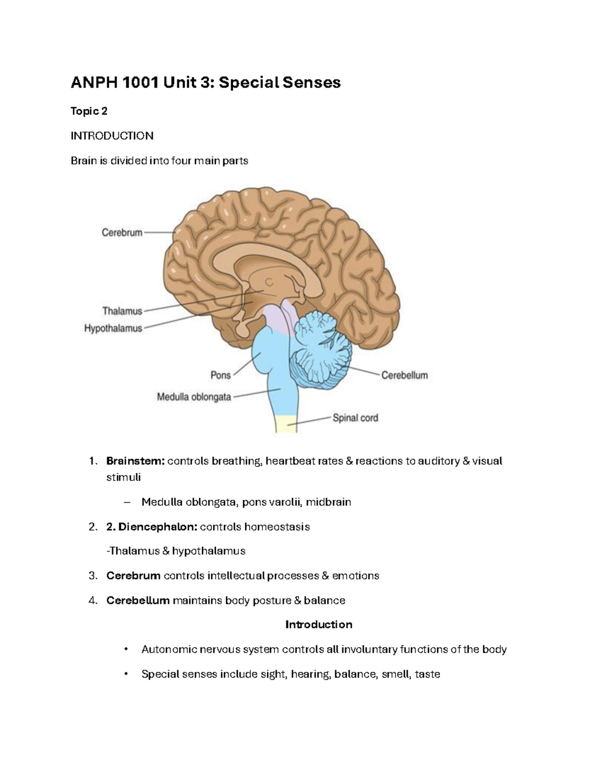 ANPH 1001 Unit 3: Special Senses Overview and Brain Anatomy - Studocu
