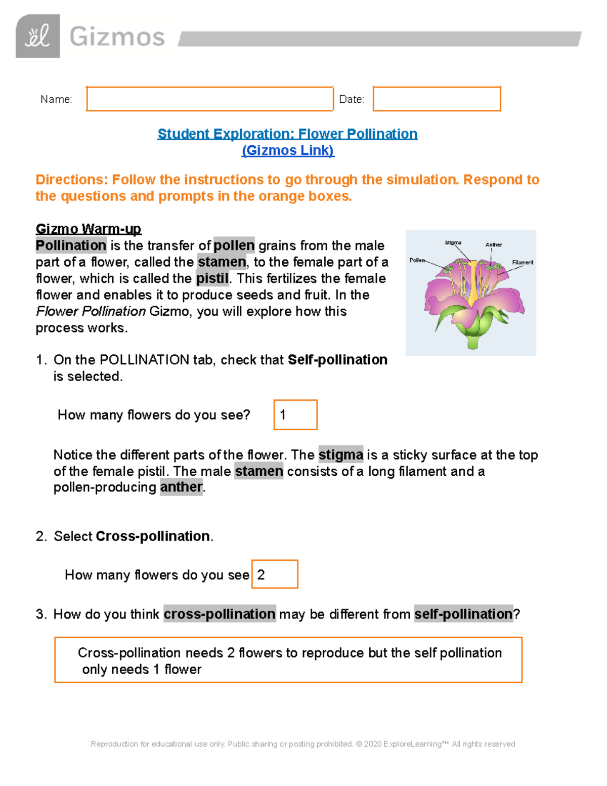 Flower Pollination Gizmos Lab Exploration - 3123634 - Studocu