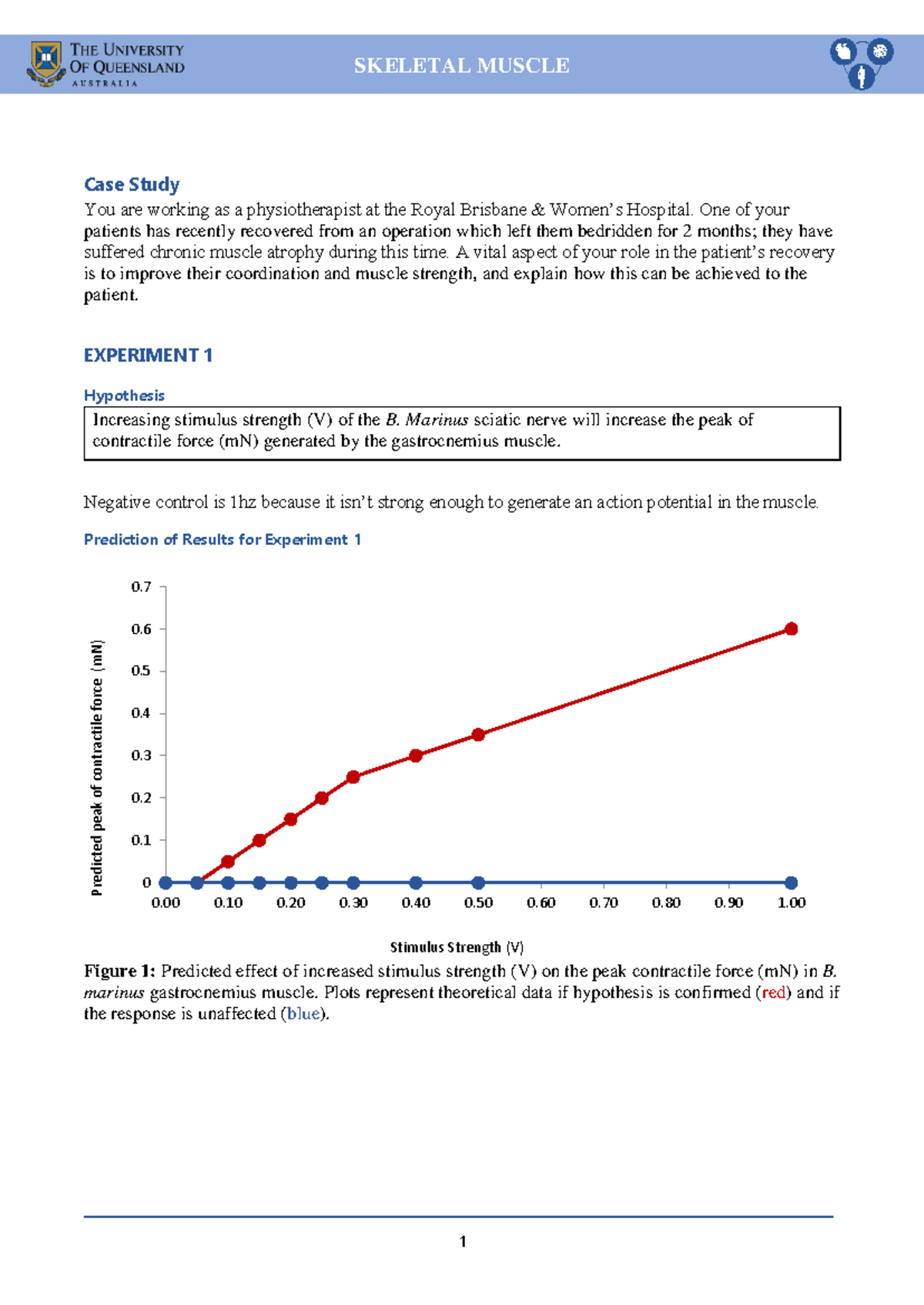 BIOL1040 - Skeletal Muscle Case Study: Effects of Stimulus on ...