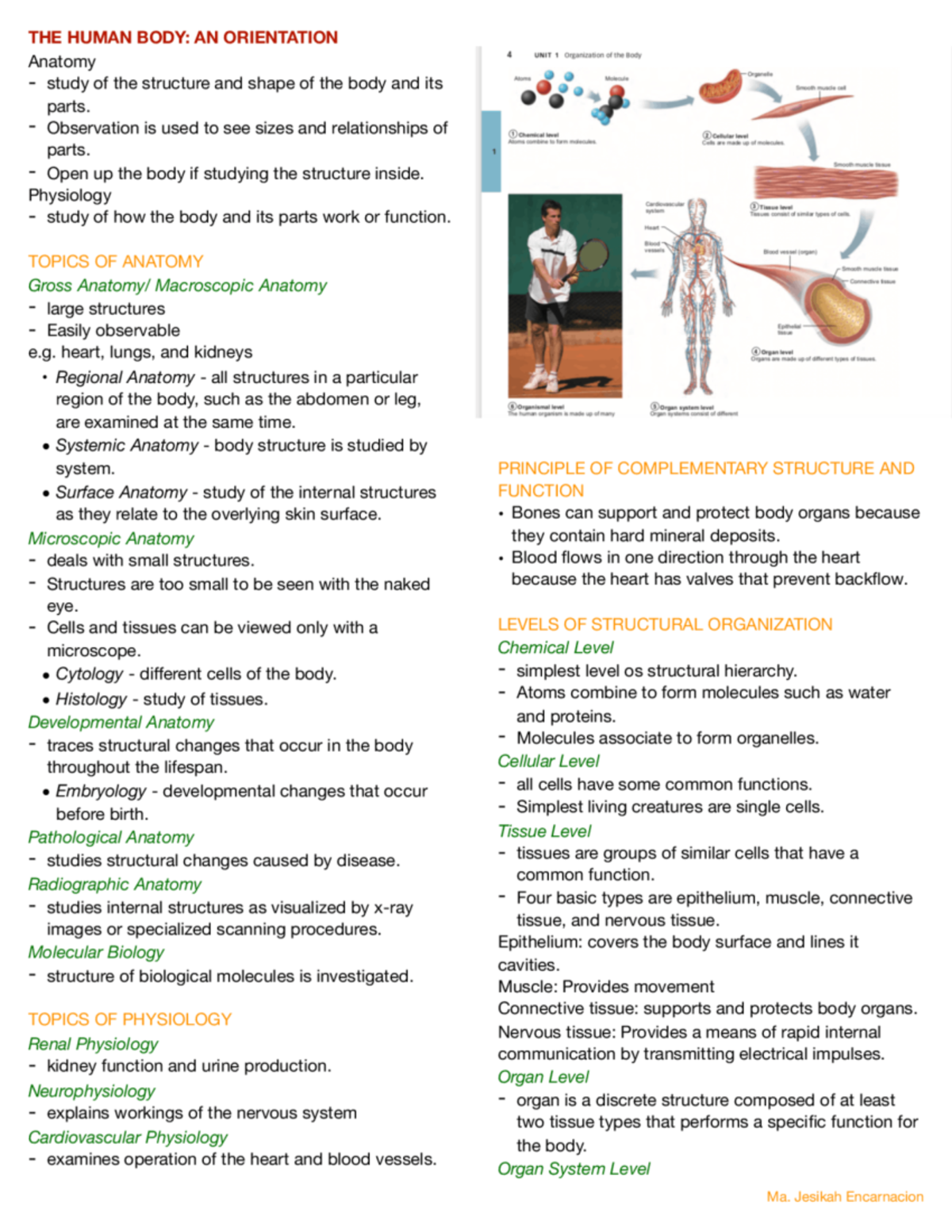Anatomy Notes 2: Overview of Human Body Organization and Physiology ...