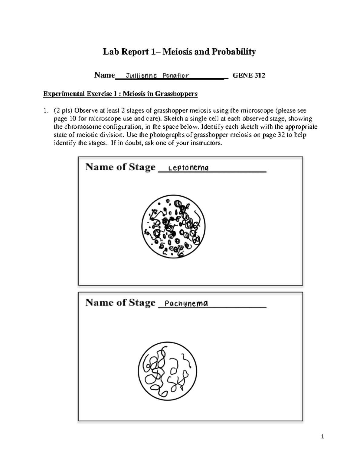 GENE 312 314 Lab Manual Fall 2022 copy - 1 Lab Report 1