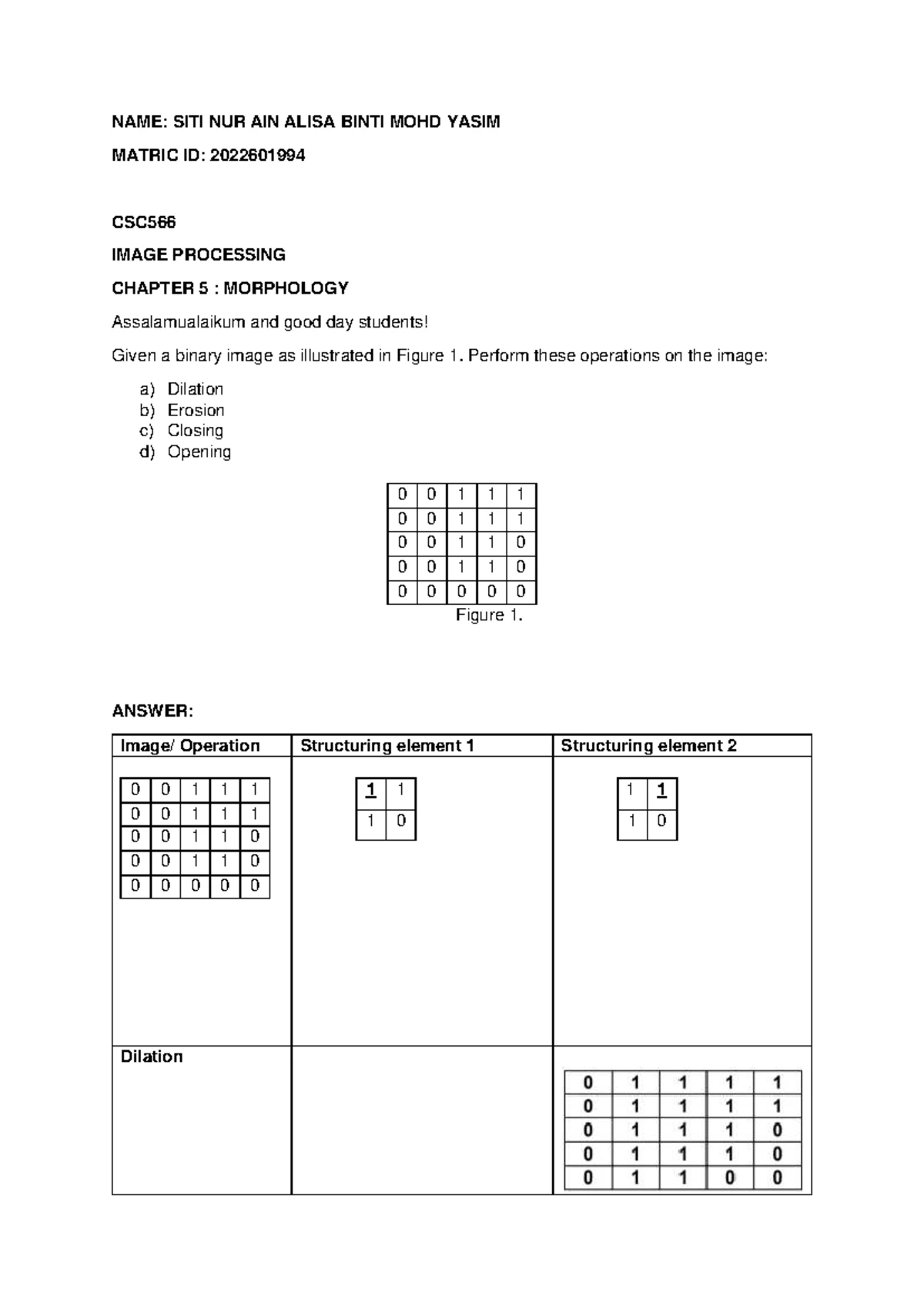 2025 CSC566 Assignment 2: Image Segmentation Techniques - Studocu
