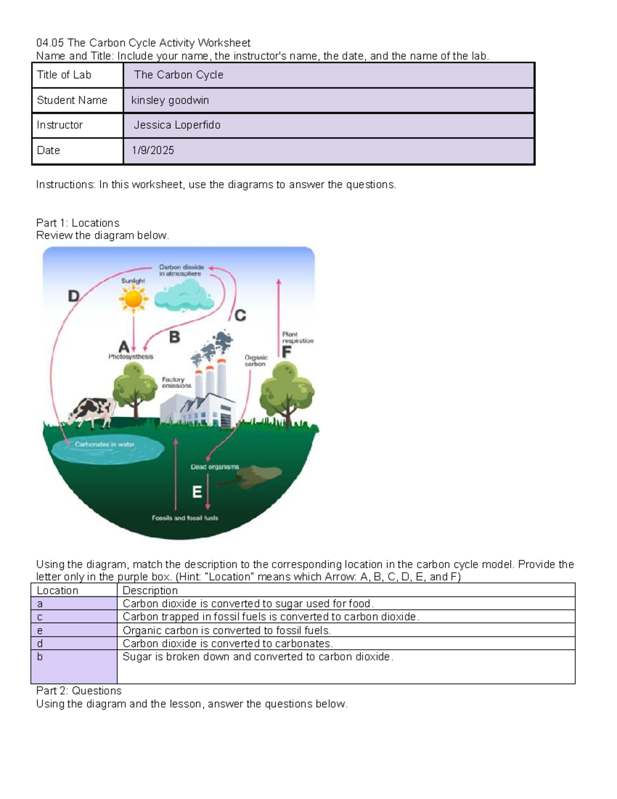 Carbon Cycle Diagram Worksheet