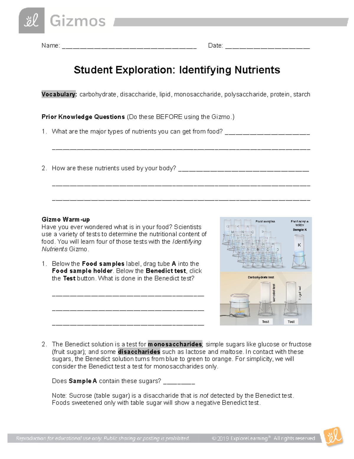 Nutrients Identification Lab Activity SE - Studocu