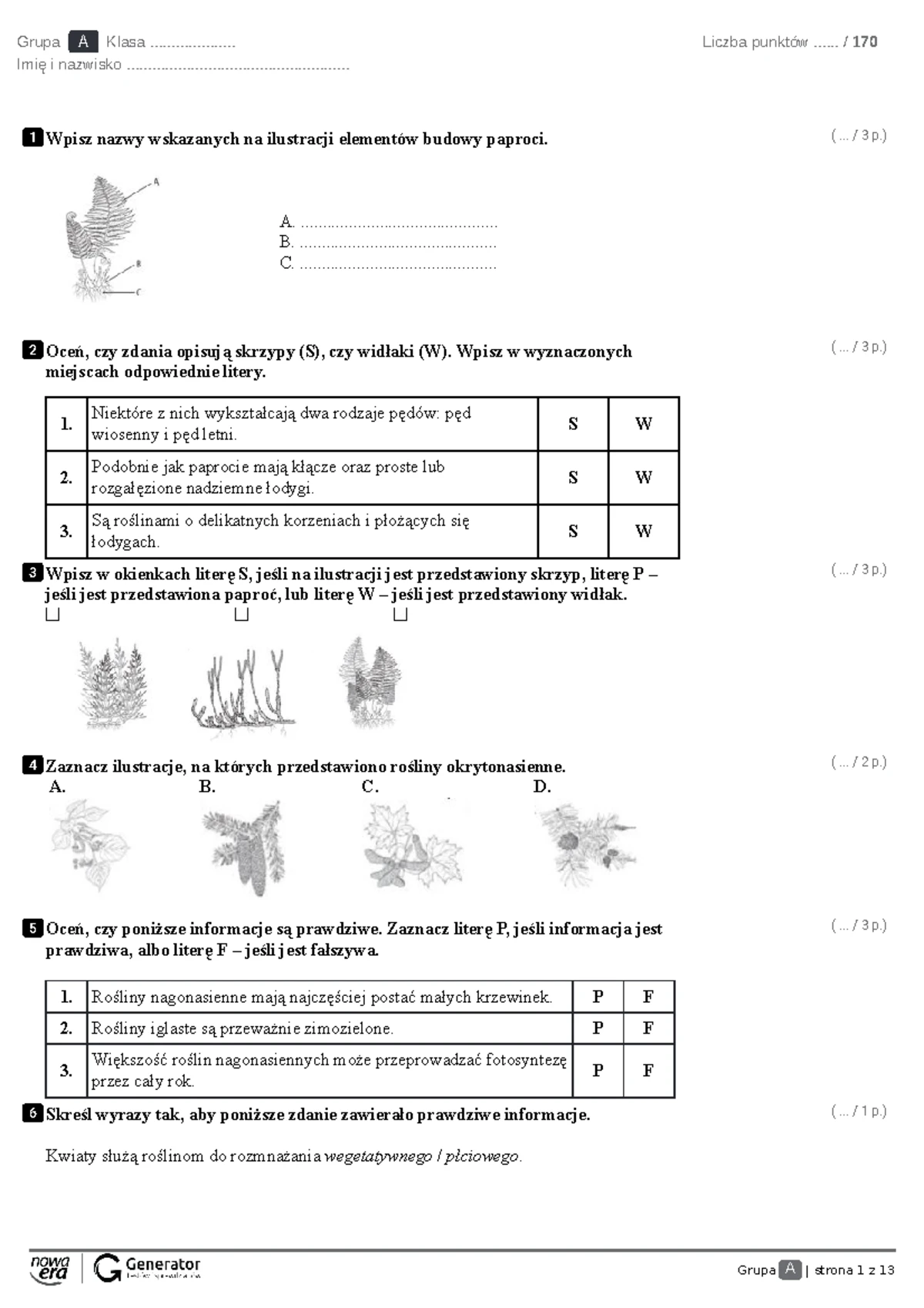 Sprawdzian Biologia Dział świat Roślin Czesc 2 www.studocu.com