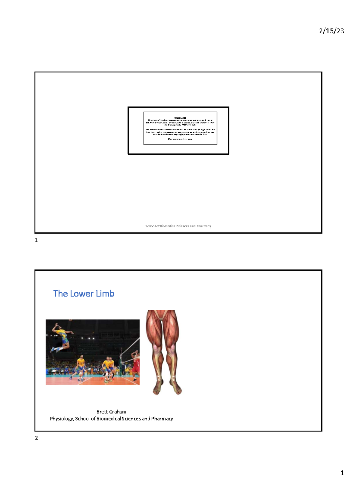 Lower Limb Anatomy: Muscles and Joints Overview (HUBS2520) - School of ...
