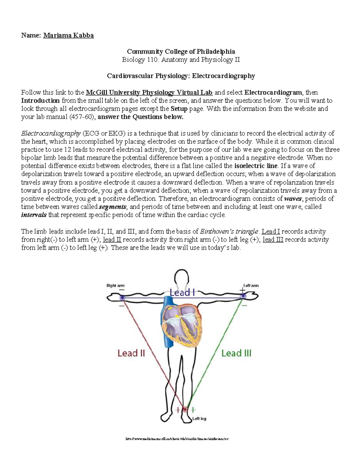 Biology 110: Cardiovascular Physiology - Electrocardiography Lab - Studocu