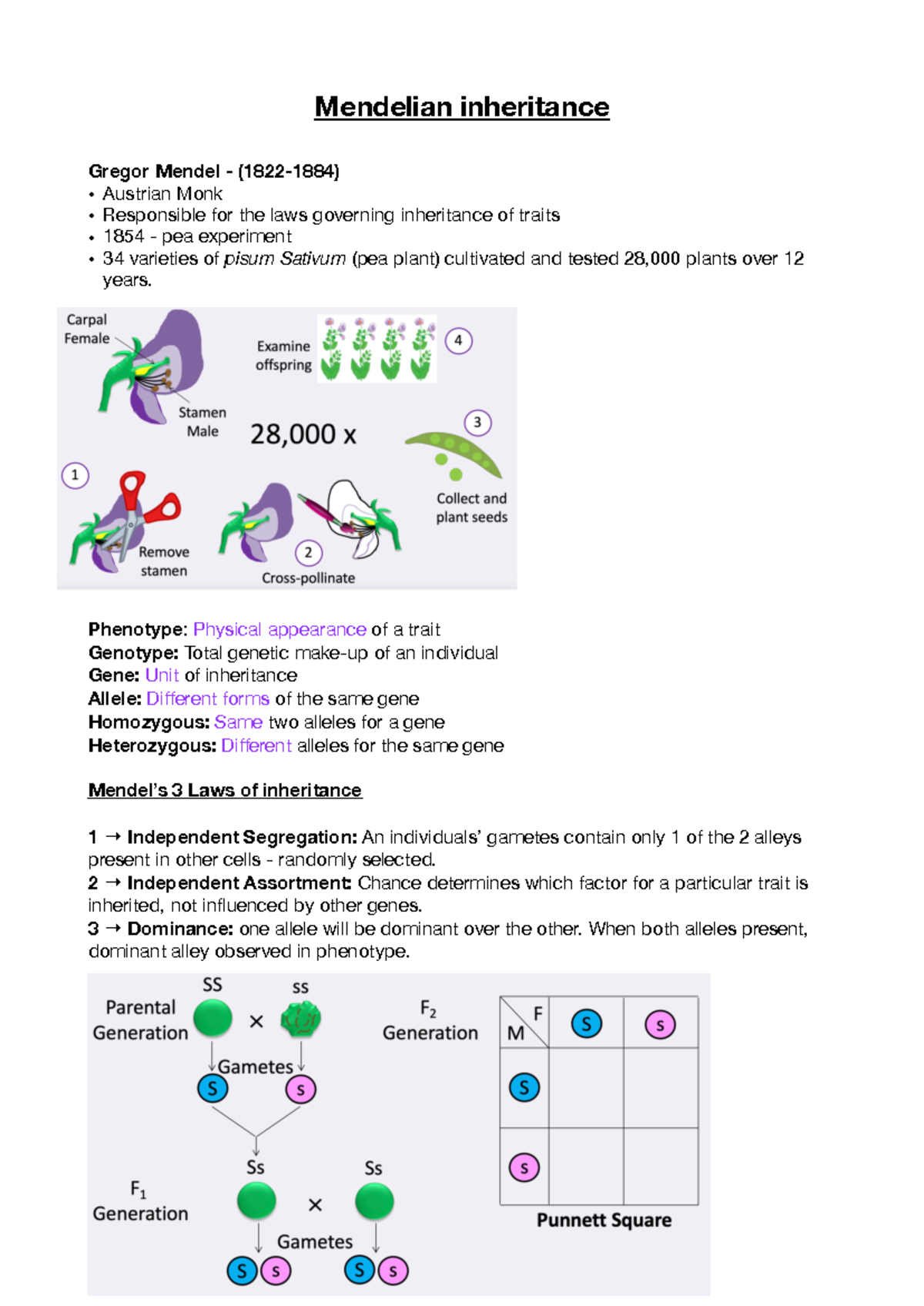 Mendelian inheritance w:k 3 - Mendelian inheritance Gregor Mendel ...