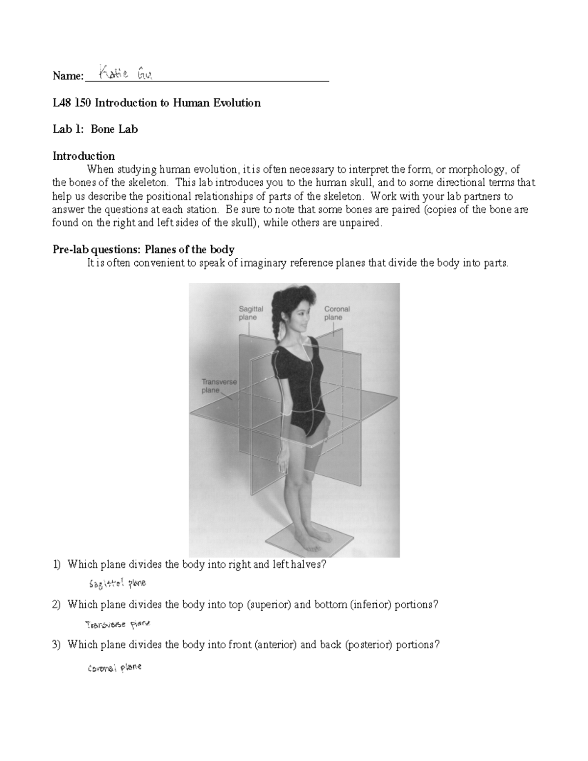 Bone Lab - Bone - Name: L48 150 Introduction to Human Evolution Lab 1 ...