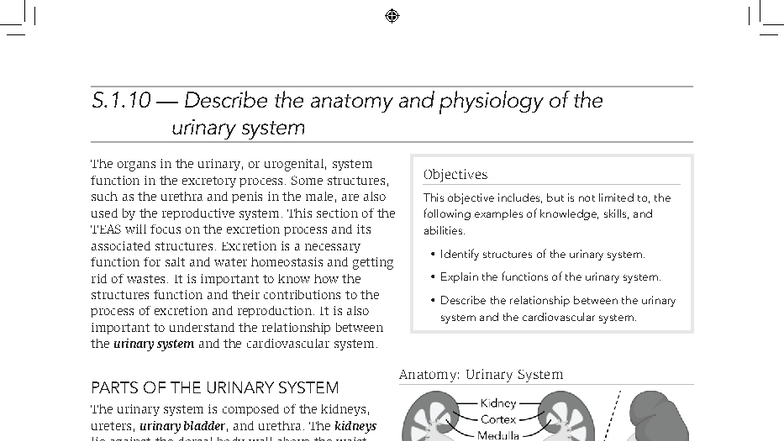 ATI TEAS Study Manual: Anatomy & Physiology of the Urinary System - Studocu